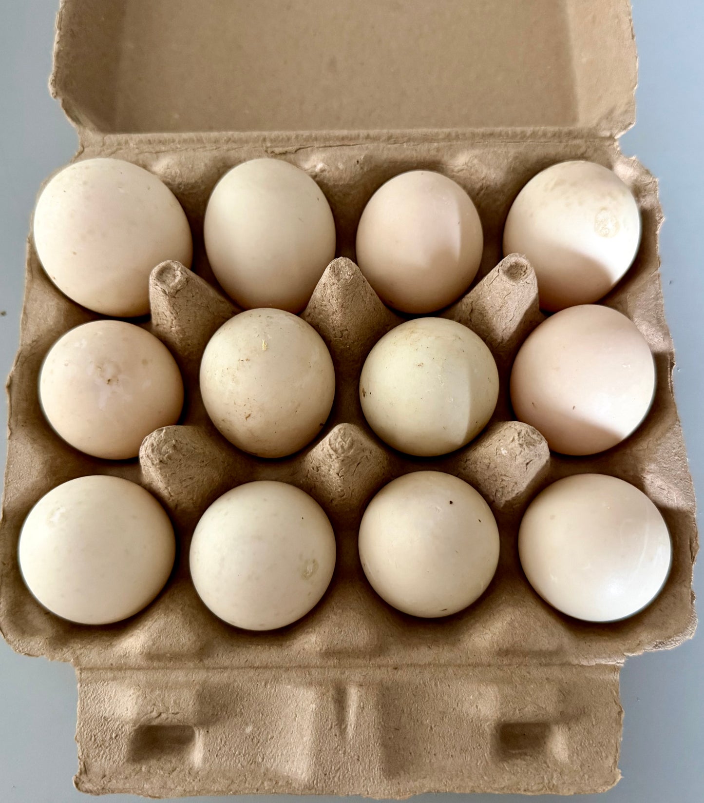 Eggs - Free Range Duck Eggs | Amber Lake Farm