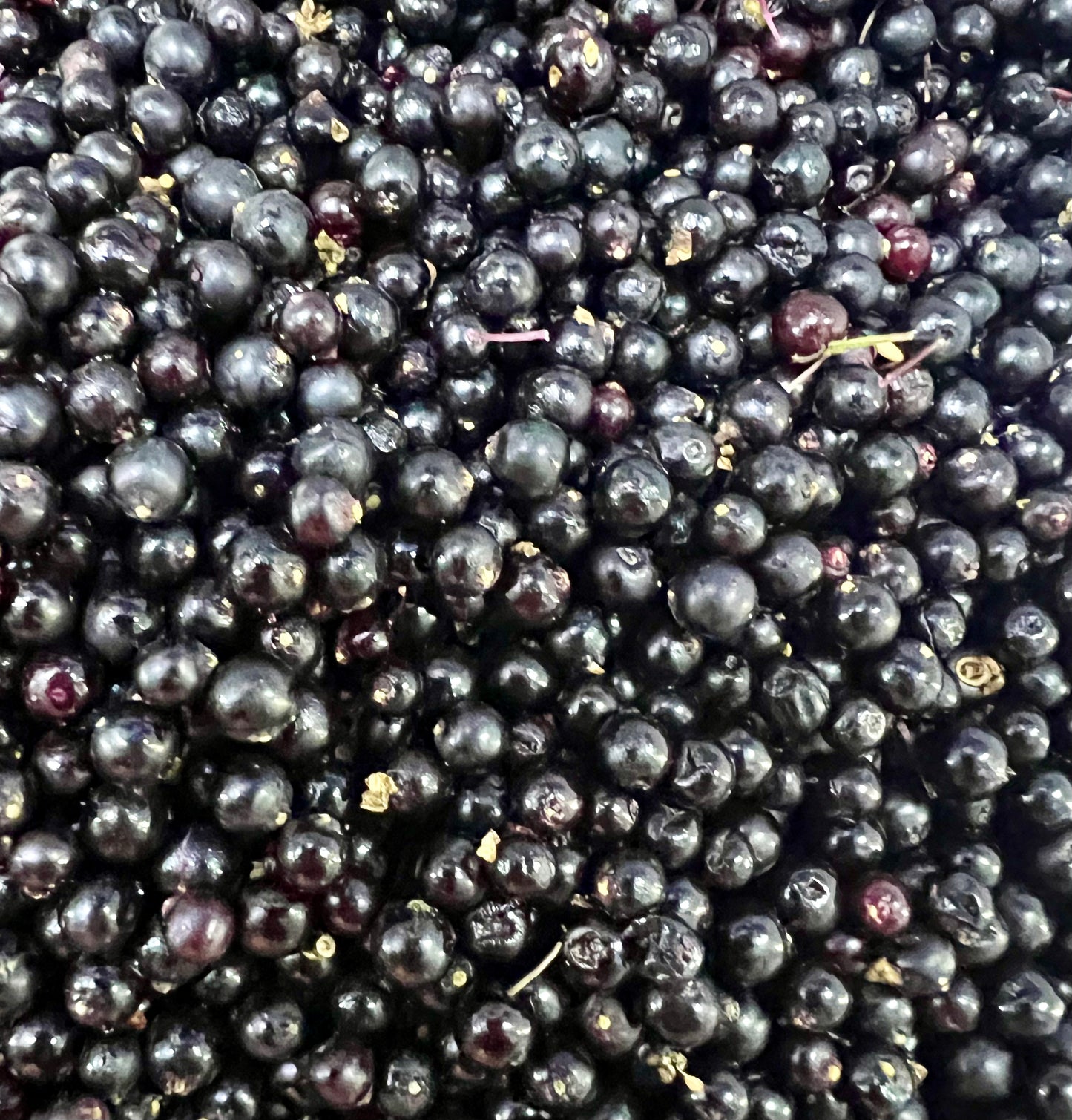 Honey, Local, Elderberry Infused