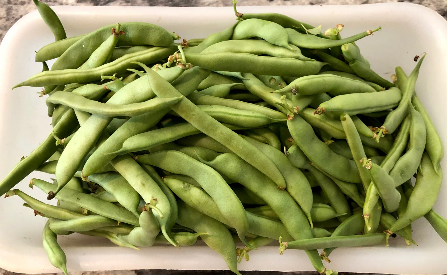 Vegetables, Green Beans