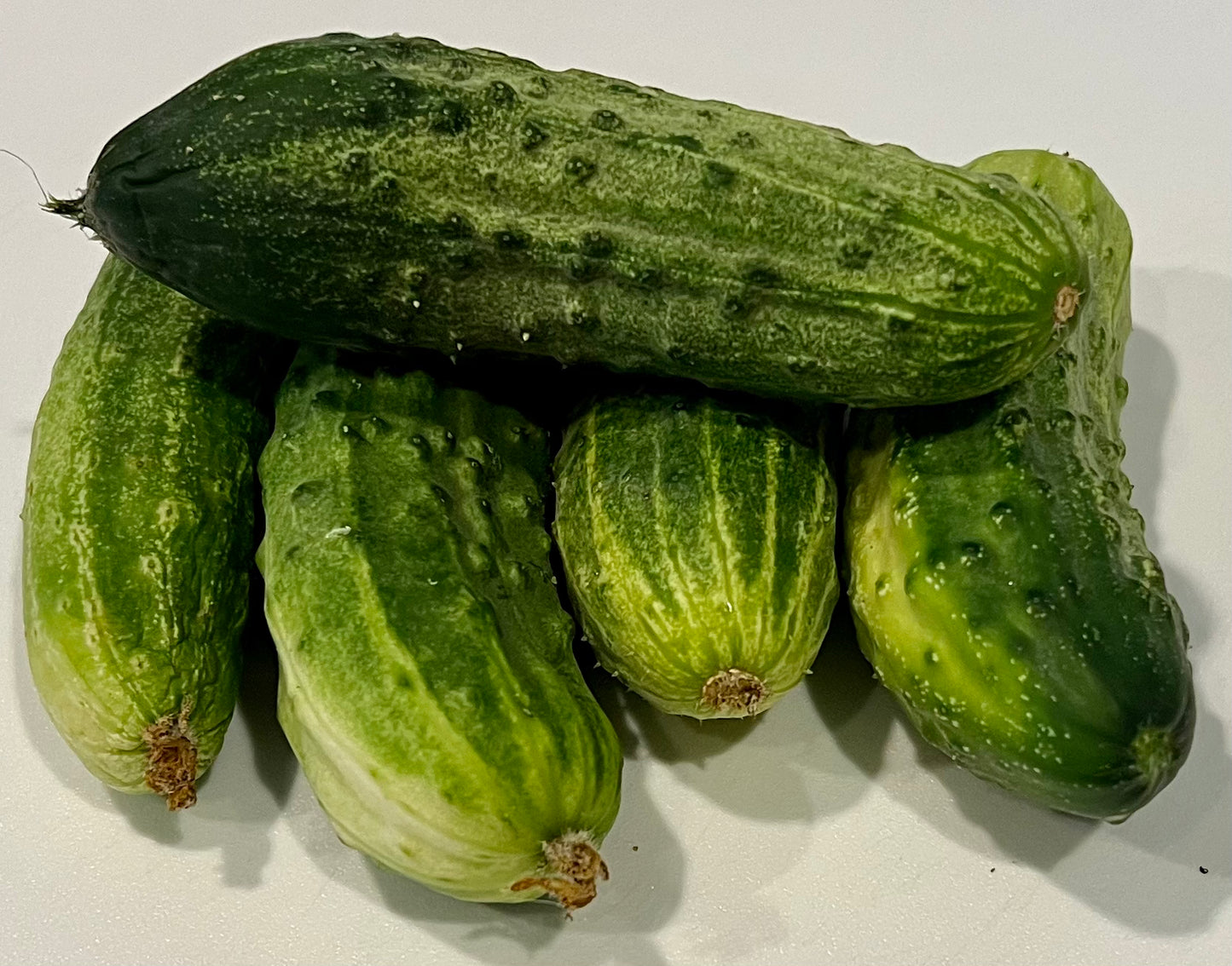 Vegetables, Cucumbers