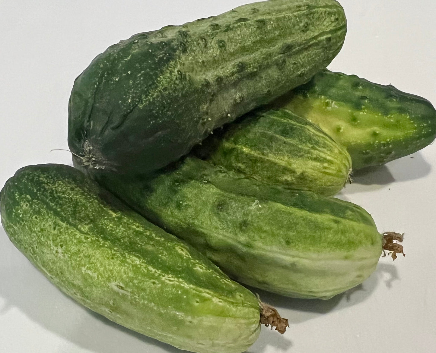 Vegetables, Cucumbers