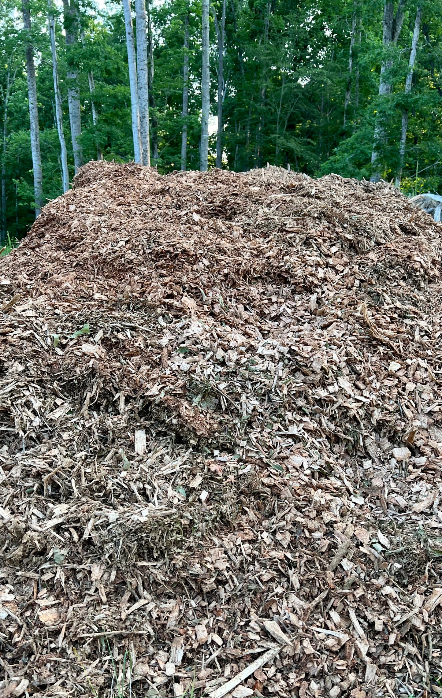 Wood Chips