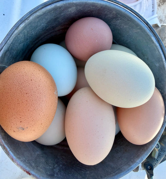 Natural Color Easter Eggs - No Dyes Needed!