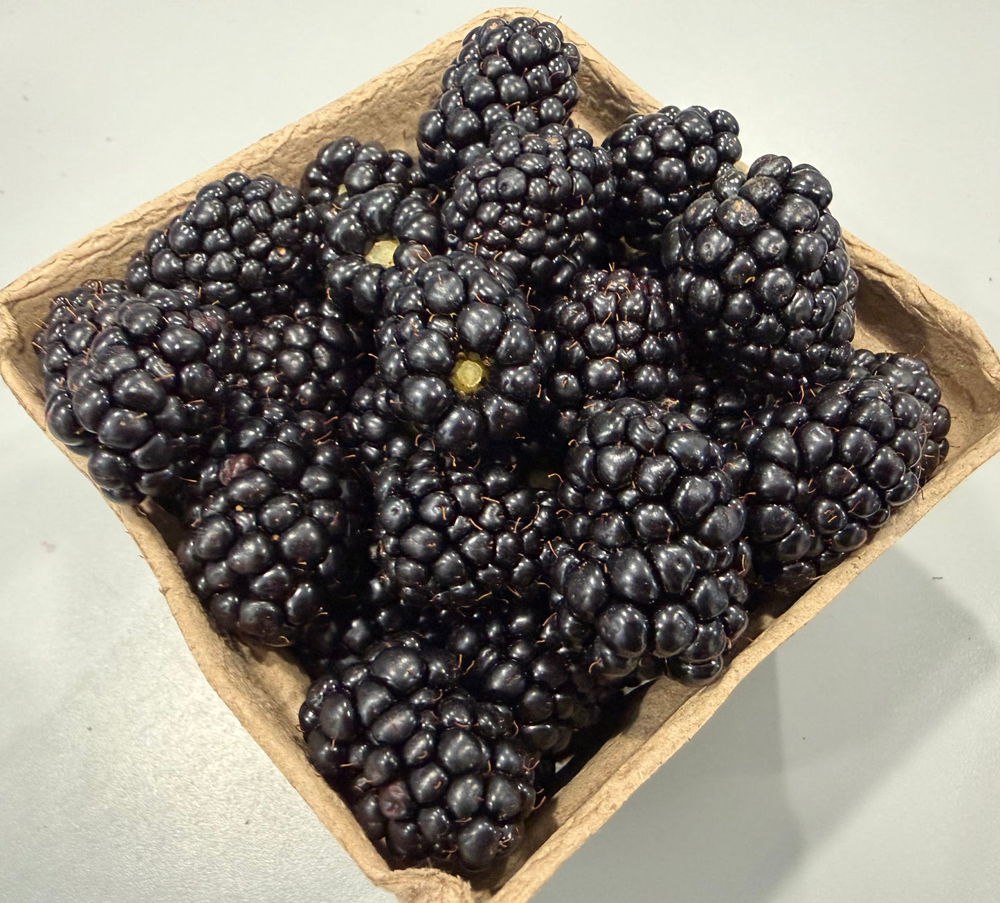 Available - Berries, Blackberries