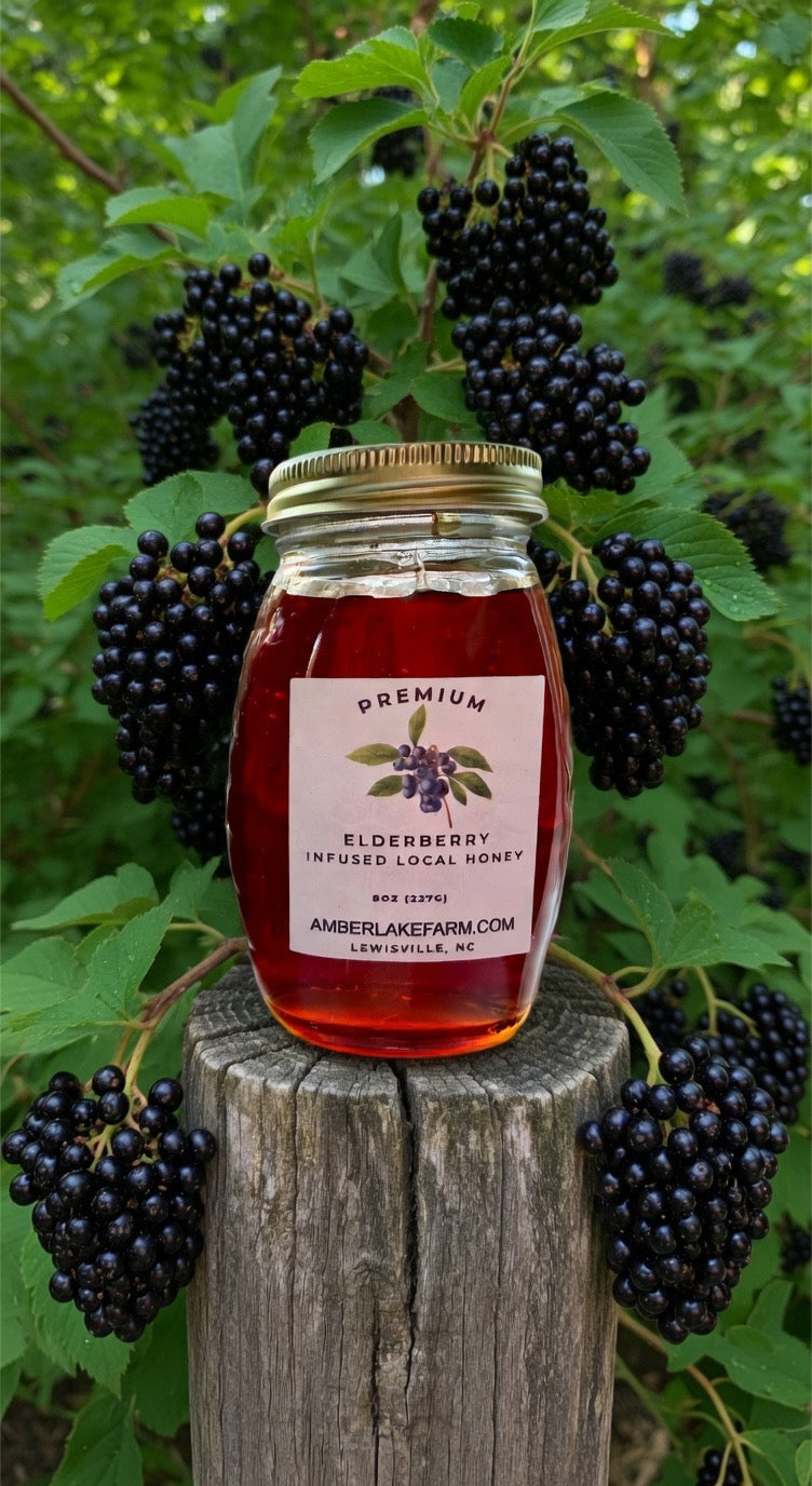 Honey - Elderberry Infused Local Honey | Amber Lake Farm