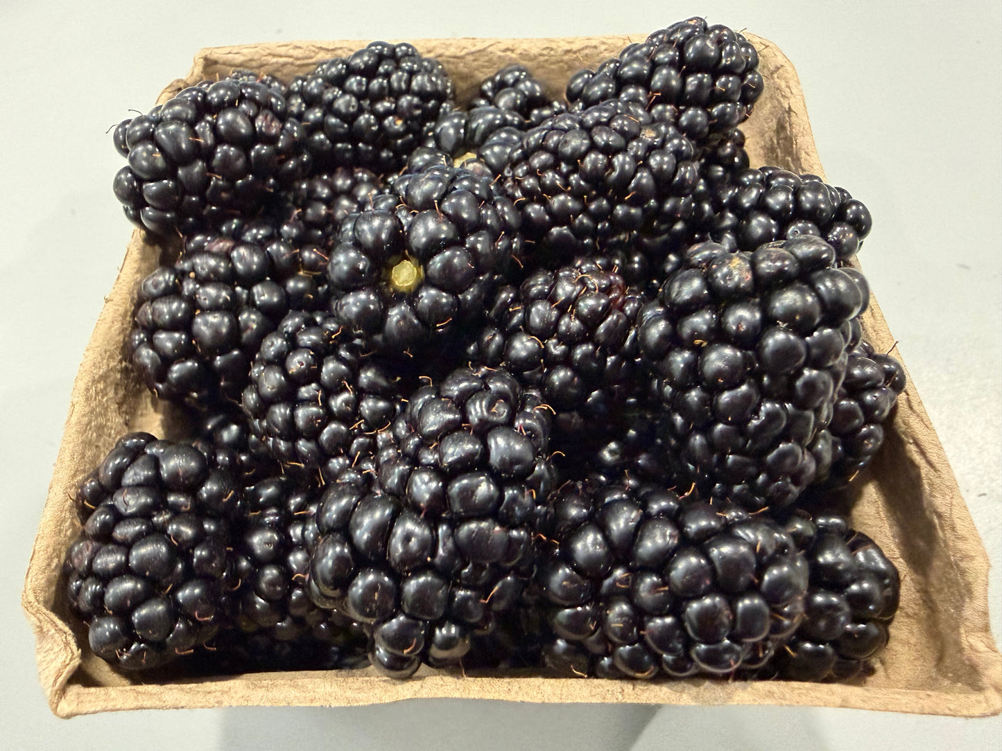Available - Berries, Blackberries