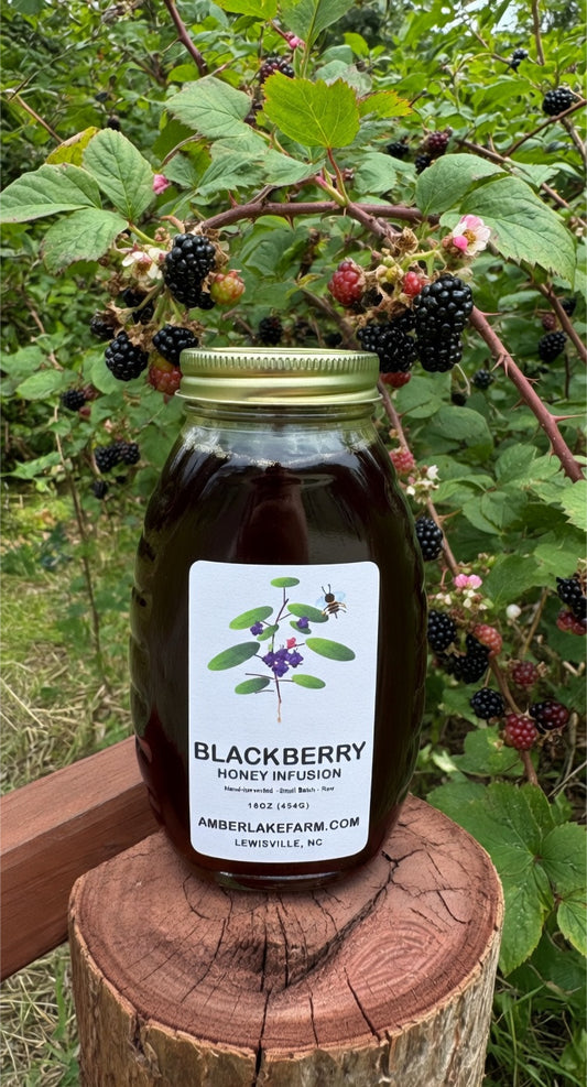 Honey - Blackberry Infused Local Honey | Amber Lake Farm