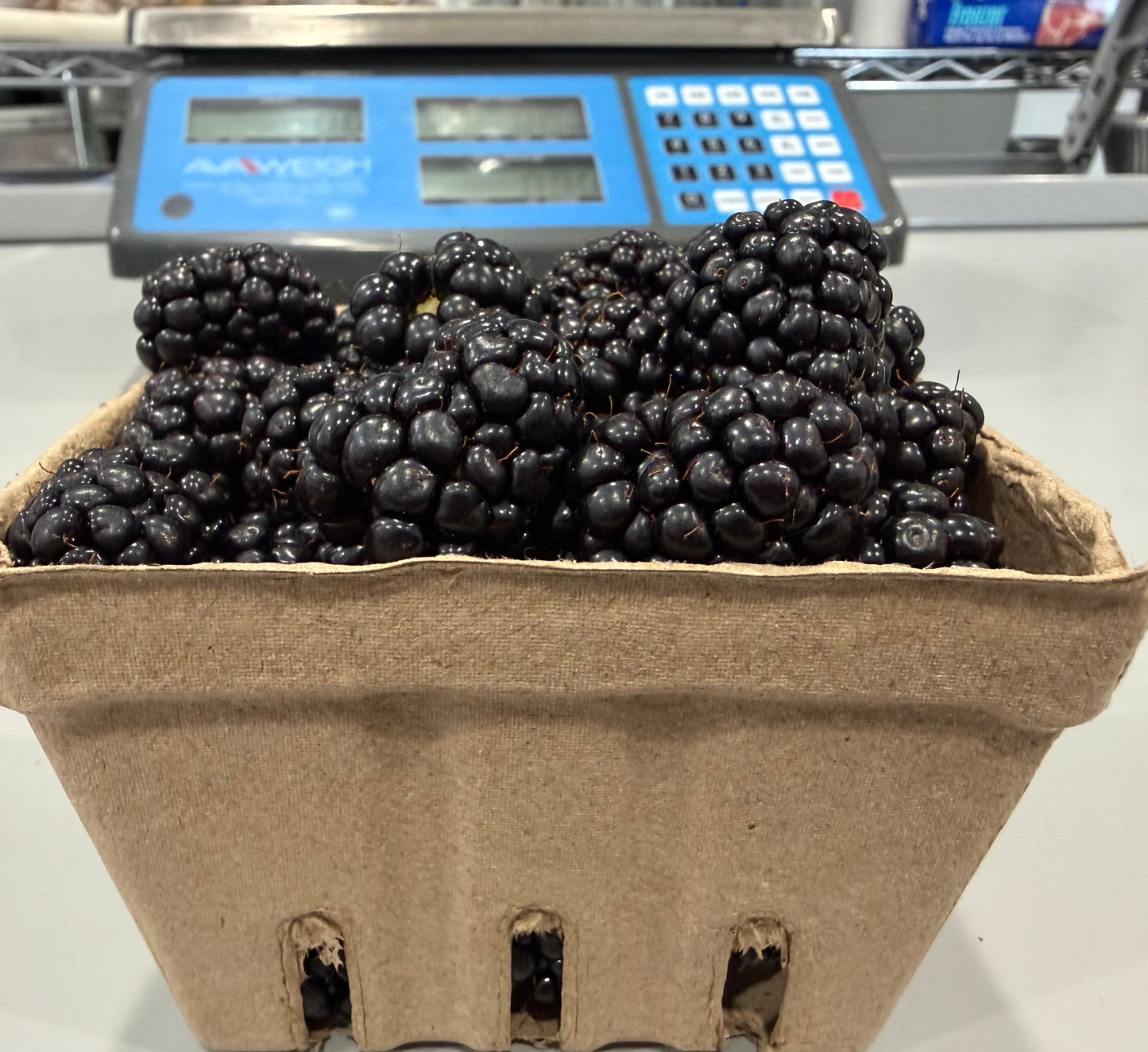 Available - Berries, Blackberries