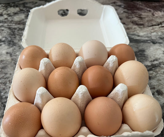 Eggs, chicken. Farm, pasture-raised, free-range. 1 dozen (12). Farm fresh and Freeze Dried.