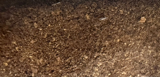 Coming Soon! Pets - Free-Range Chicken Liver Powder- 4 oz