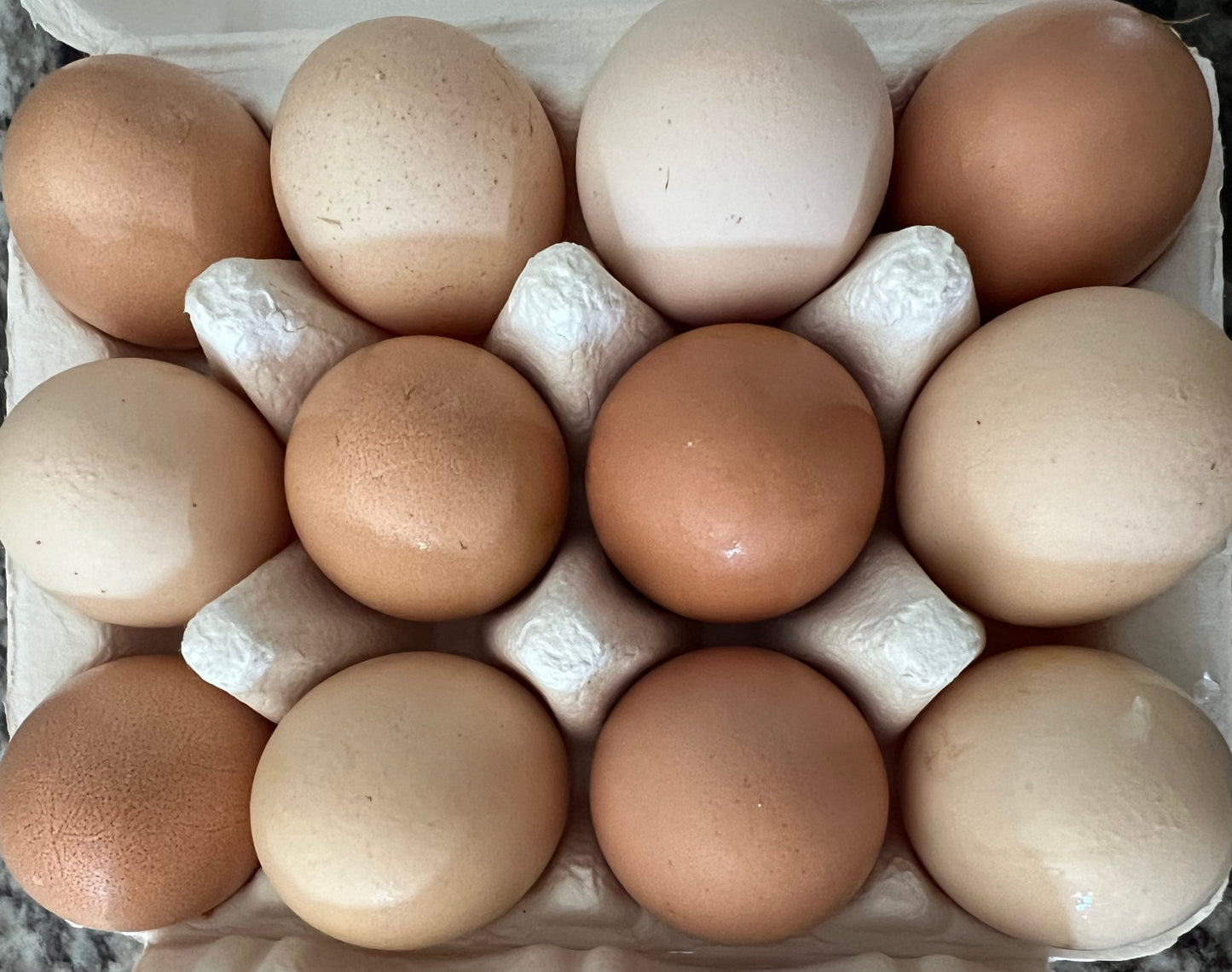 Eggs, chicken. Farm, pasture-raised, free-range. 1 dozen (12). Farm fresh and Freeze Dried.