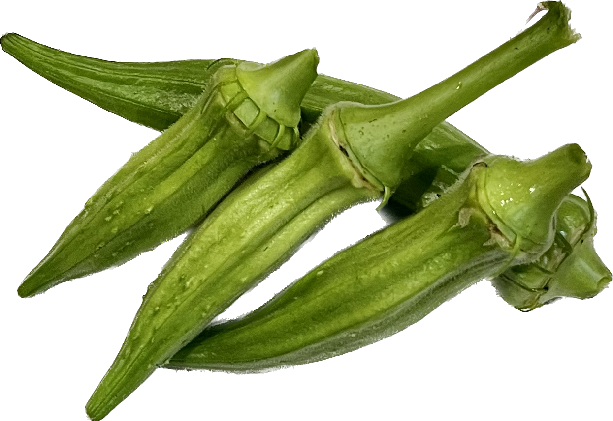 Okra