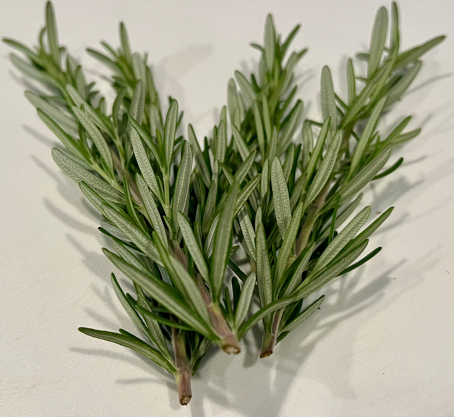 Rosemary sprigs