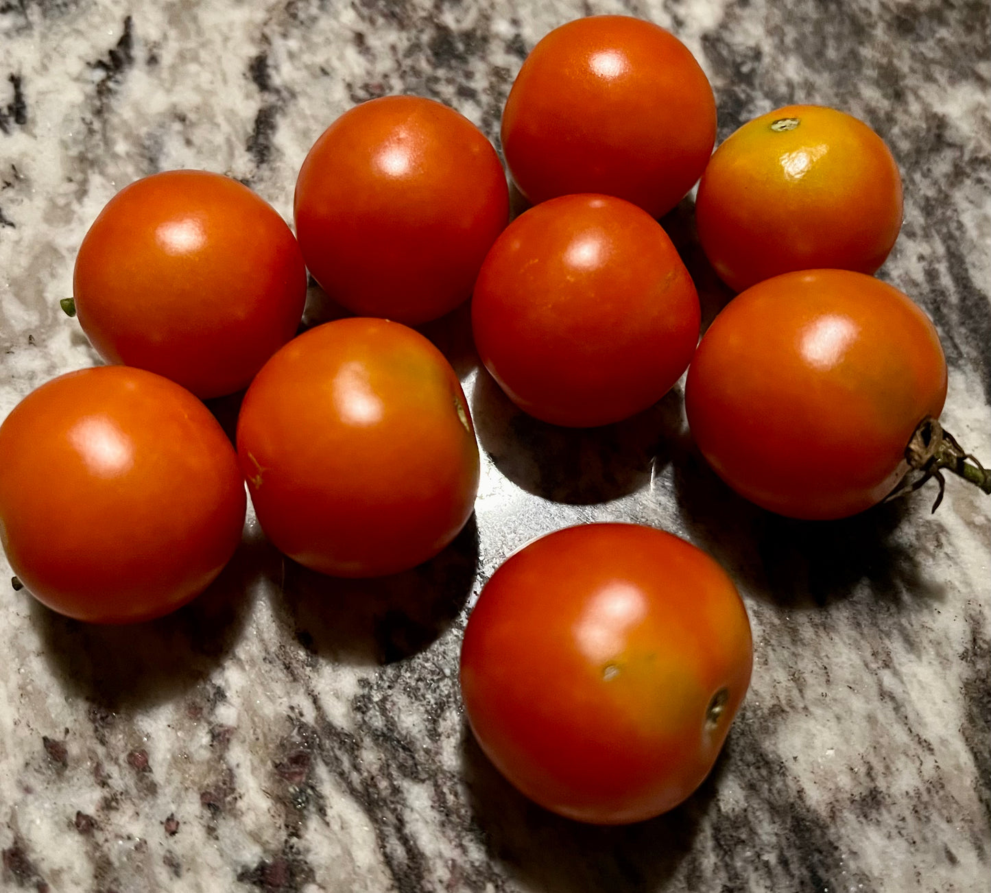 Tomatoes